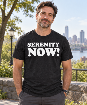 AI-generated lifestyle visualization: person wearing the black tri-blend Serenity Now! quote T-shirt at a city park overlook
