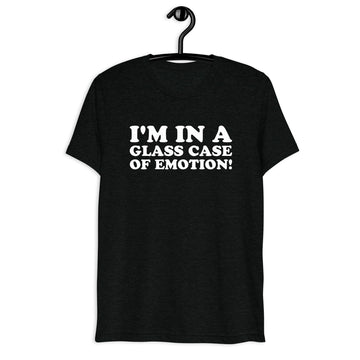 Front hanger mockup of the black tri-blend I'm in a Glass Case of Emotion quote T-shirt